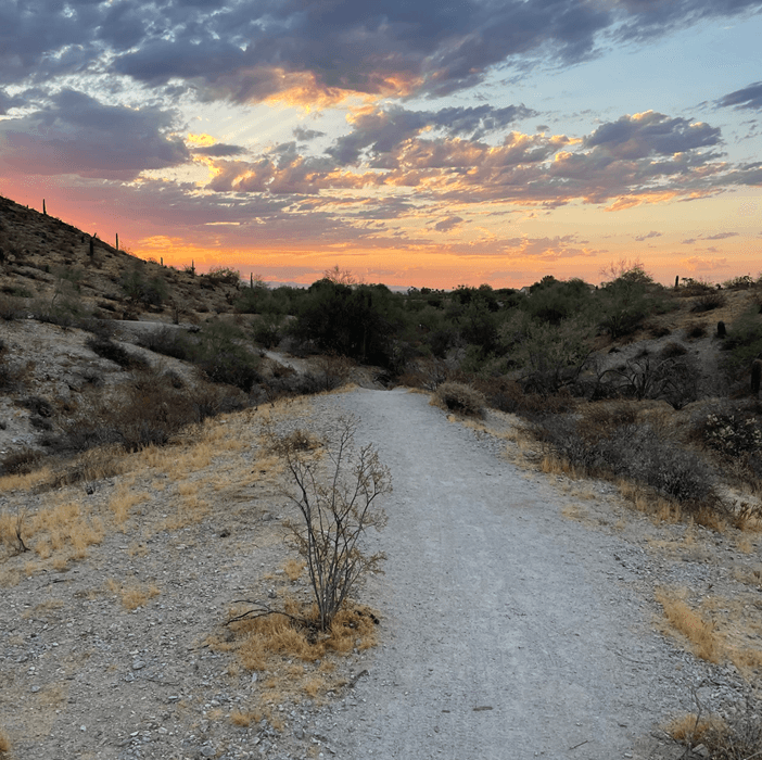 Phoenix trail at dusk